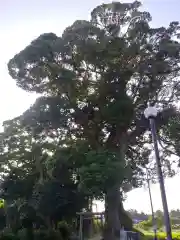 香取神社の庭園