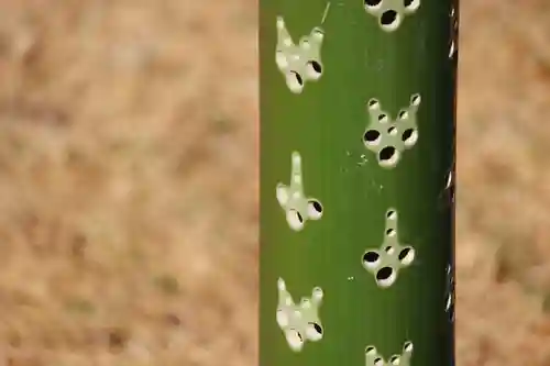 国宝 大法寺のその他建物