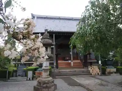 大蔵院(群馬県)