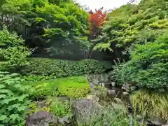 長谷寺の庭園