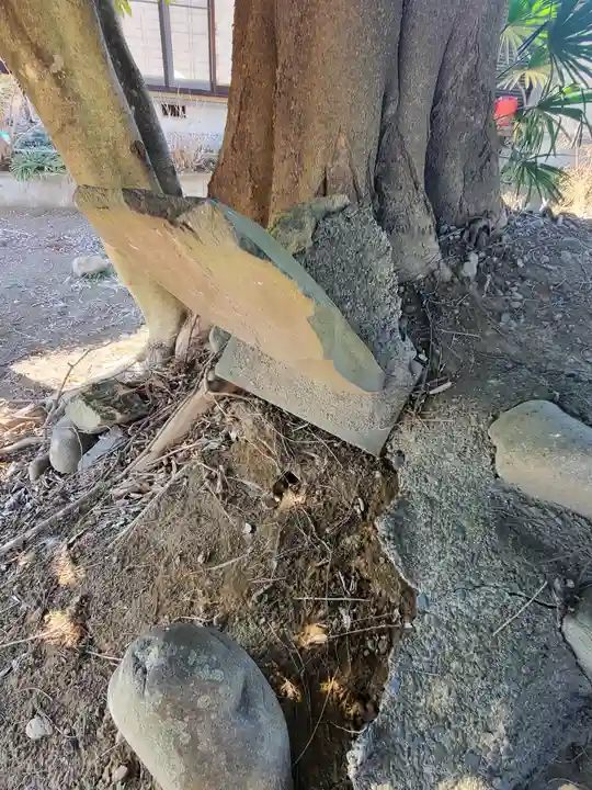熊野神社(富若)(群馬県)