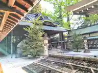 川越氷川神社(埼玉県)