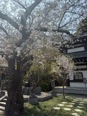 長谷寺の{uncategorized: "未分類", other: "その他", undefined: "問題あり", building: "その他建物", grave: "お墓", sacred_gate: "鳥居", guardian: "狛犬", statue: "像", buddha: "仏像", history: "歴史", nature: "自然", garden: "庭園", animal: "動物", pagoda: "塔", temizu: "手水舎", mountain_gate: "山門・神門", sanctuary: "本殿・本堂", subordinate: "末社・摂社", art: "芸術", scenery: "景色", jizo: "地蔵", ema: "絵馬", goshuin: "御朱印", omikuji: "おみくじ", items: "授与品その他", amulet: "お守り", goshuincho: "御朱印帳", eats: "食事", festival: "お祭り", votive_dance: "神楽", shichigosan: "七五三参", wedding: "結婚式", experience: "体験その他", initially: "初詣", around: "周辺", anti_infection: "感染症対策"}