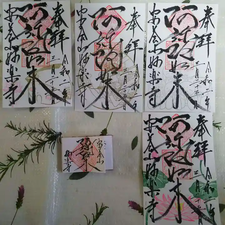 妙楽寺の御朱印