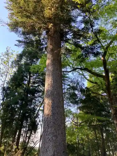 朝日神社(新潟県)