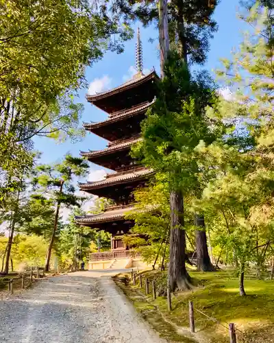 仁和寺の塔