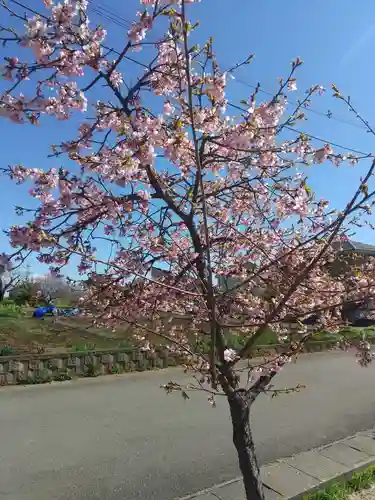 大宮住吉神社(埼玉県)