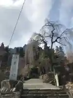 妙義神社(群馬県)