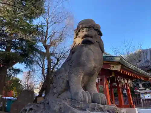 浅草神社の狛犬