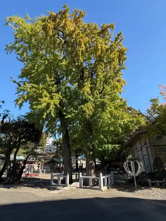 千住神社(東京都)