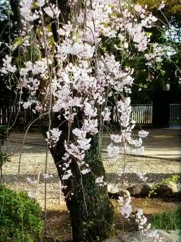 龍光寺(東京都)
