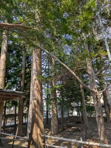豊受稲荷神社（湯倉神社）の{uncategorized: "未分類", other: "その他", undefined: "問題あり", building: "その他建物", grave: "お墓", sacred_gate: "鳥居", guardian: "狛犬", statue: "像", buddha: "仏像", history: "歴史", nature: "自然", garden: "庭園", animal: "動物", pagoda: "塔", temizu: "手水舎", mountain_gate: "山門・神門", sanctuary: "本殿・本堂", subordinate: "末社・摂社", art: "芸術", scenery: "景色", jizo: "地蔵", ema: "絵馬", goshuin: "御朱印", omikuji: "おみくじ", items: "授与品その他", amulet: "お守り", goshuincho: "御朱印帳", eats: "食事", festival: "お祭り", votive_dance: "神楽", shichigosan: "七五三参", wedding: "結婚式", experience: "体験その他", initially: "初詣", around: "周辺", anti_infection: "感染症対策"}