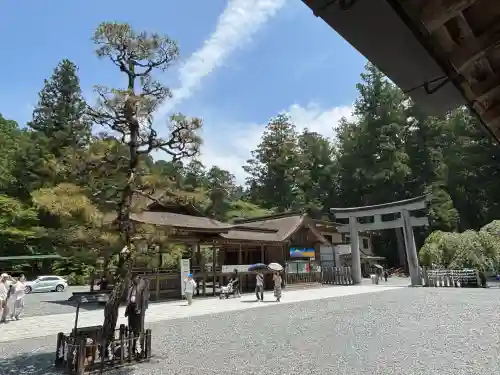小國神社(静岡県)