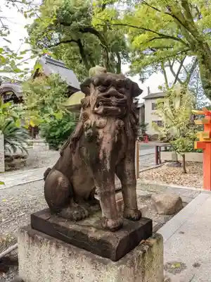 安井金比羅宮の狛犬