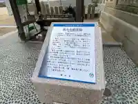 西大寺の{uncategorized: "未分類", other: "その他", undefined: "問題あり", building: "その他建物", grave: "お墓", sacred_gate: "鳥居", guardian: "狛犬", statue: "像", buddha: "仏像", history: "歴史", nature: "自然", garden: "庭園", animal: "動物", pagoda: "塔", temizu: "手水舎", mountain_gate: "山門・神門", sanctuary: "本殿・本堂", subordinate: "末社・摂社", art: "芸術", scenery: "景色", jizo: "地蔵", ema: "絵馬", goshuin: "御朱印", omikuji: "おみくじ", items: "授与品その他", amulet: "お守り", goshuincho: "御朱印帳", eats: "食事", festival: "お祭り", votive_dance: "神楽", shichigosan: "七五三参", wedding: "結婚式", experience: "体験その他", initially: "初詣", around: "周辺", anti_infection: "感染症対策"}