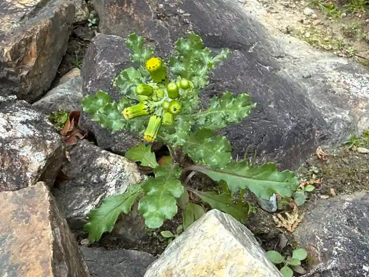 西方山極楽寺(岐阜県)