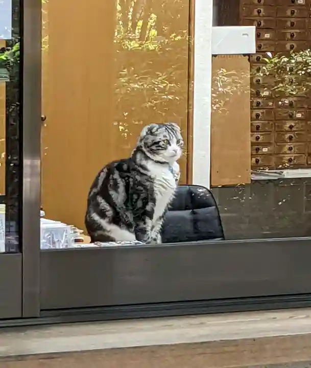 王子神社の動物