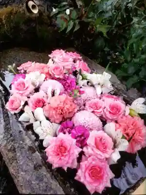 本郷氷川神社(東京都)