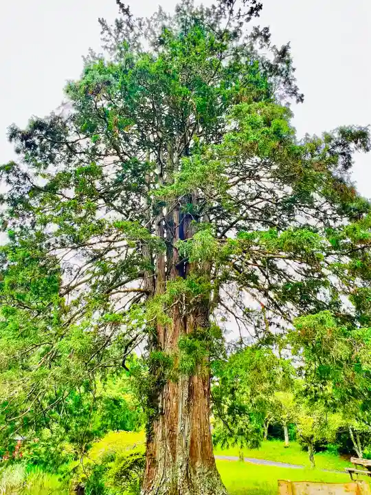 華足寺(宮城県)