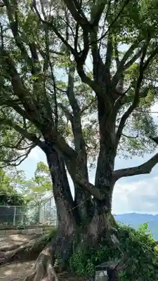 サムハラ神社 奥の宮(岡山県)