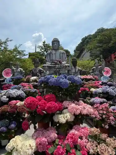 南法華寺（壷阪寺）(奈良県)