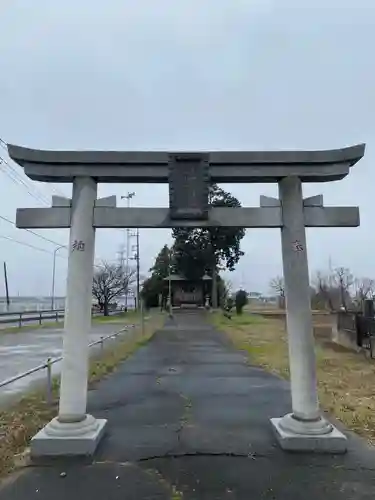 氷川神社の鳥居