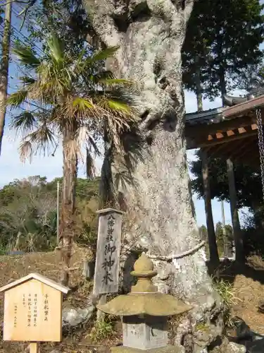 八幡神社の自然