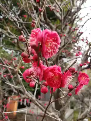 布多天神社(東京都)