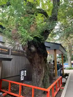 箱根神社のその他建物