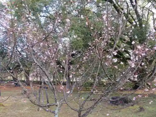 白雲神社の自然