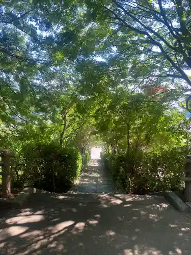 崇禅寺(群馬県)