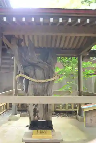 鶴嶺八幡宮(神奈川県)