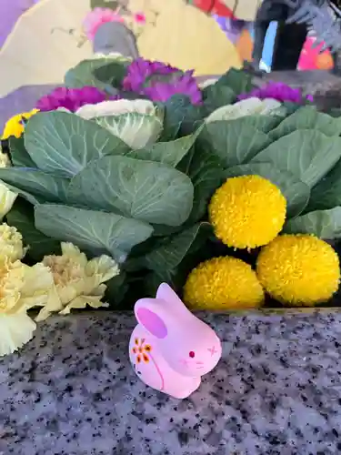 札幌諏訪神社の手水舎