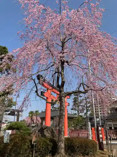 竹駒神社の自然