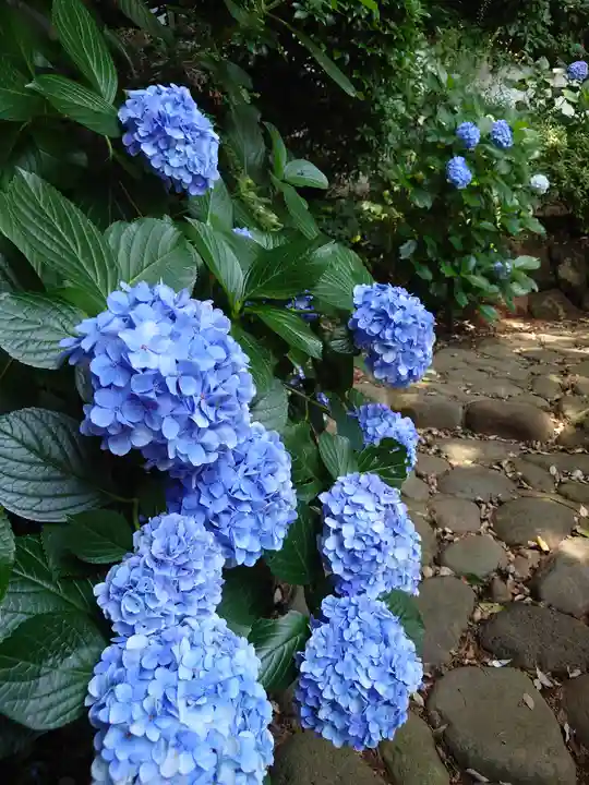長生院(神奈川県)