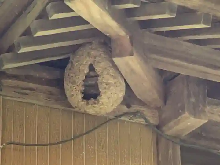 神社(名称不明)の本殿・本堂