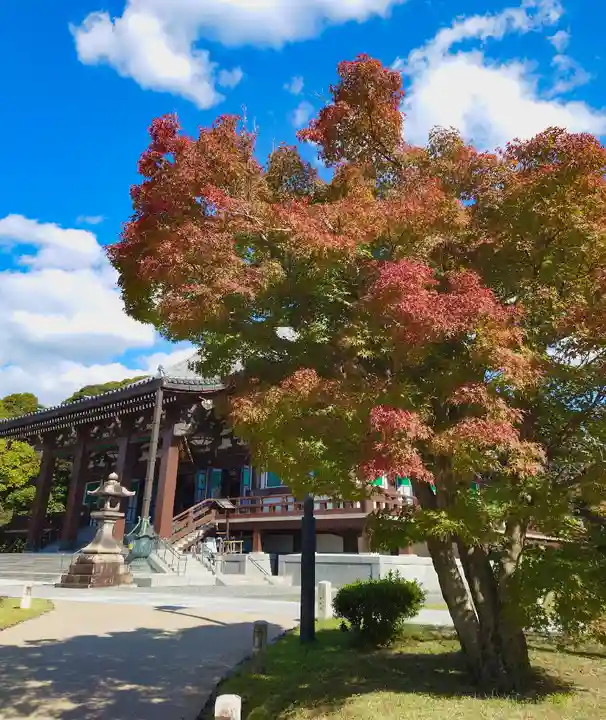 智積院(京都府)