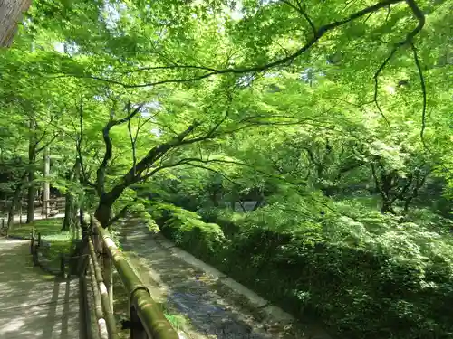 北野天満宮の庭園