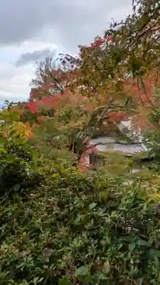 善峯寺のその他建物