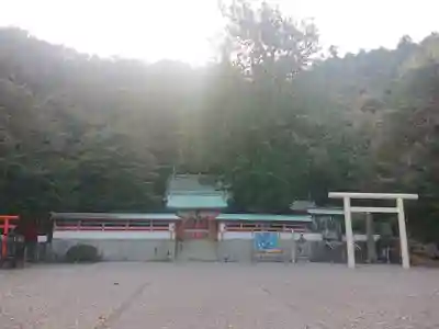 勝浦八幡神社の本殿・本堂