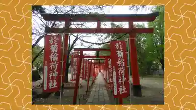 於菊稲荷神社(群馬県)
