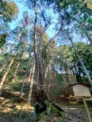 飛驒一宮水無神社(岐阜県)