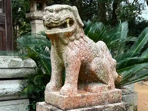 杜屋神社の狛犬