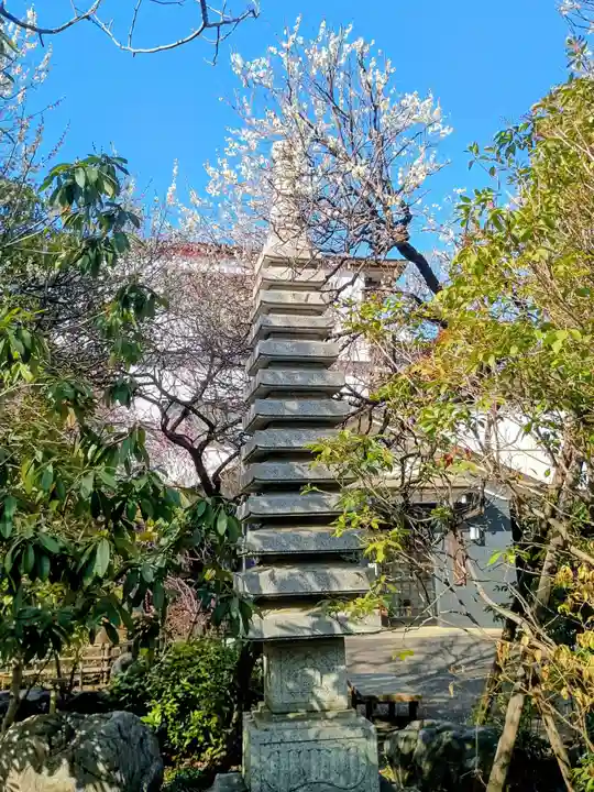 観蔵院 曼荼羅寺(東京都)