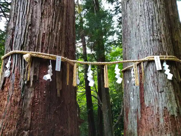 丹生川上神社(中社)(奈良県)