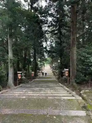日吉神社（勝野）の{uncategorized: "未分類", other: "その他", undefined: "問題あり", building: "その他建物", grave: "お墓", sacred_gate: "鳥居", guardian: "狛犬", statue: "像", buddha: "仏像", history: "歴史", nature: "自然", garden: "庭園", animal: "動物", pagoda: "塔", temizu: "手水舎", mountain_gate: "山門・神門", sanctuary: "本殿・本堂", subordinate: "末社・摂社", art: "芸術", scenery: "景色", jizo: "地蔵", ema: "絵馬", goshuin: "御朱印", omikuji: "おみくじ", items: "授与品その他", amulet: "お守り", goshuincho: "御朱印帳", eats: "食事", festival: "お祭り", votive_dance: "神楽", shichigosan: "七五三参", wedding: "結婚式", experience: "体験その他", initially: "初詣", around: "周辺", anti_infection: "感染症対策"}