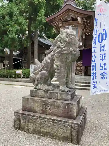 白山比咩神社の狛犬