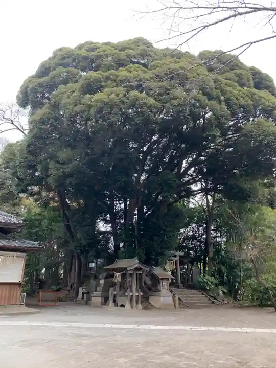 竹内神社(千葉県)