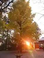 下野 星宮神社の自然