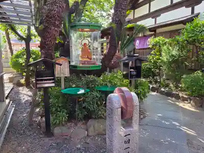 真光院(大阪府)